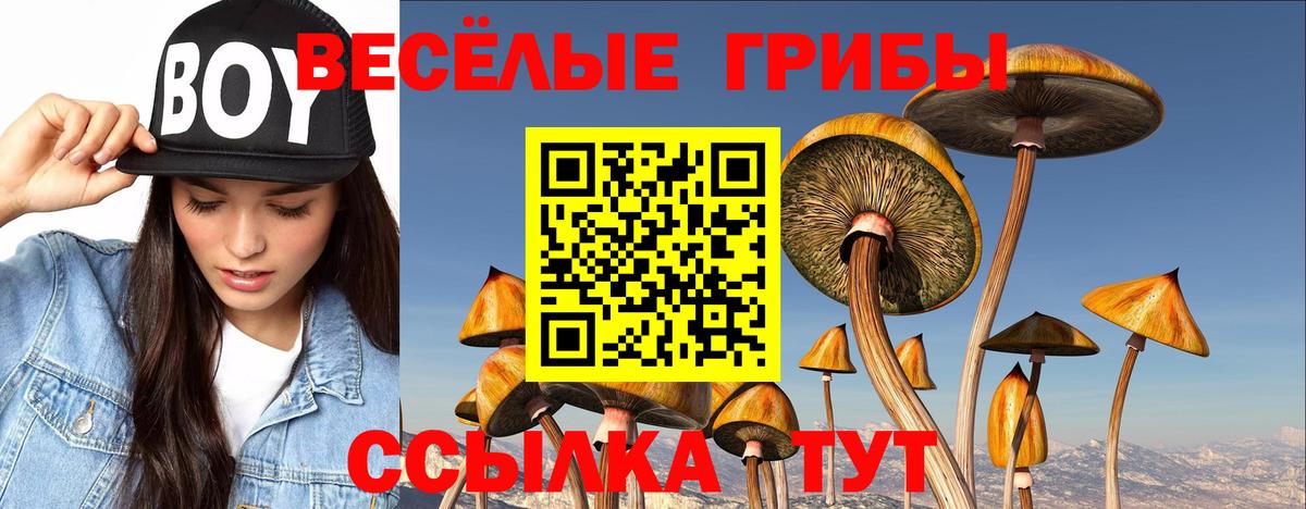 что такое   Вход с VPN  Псилоцибиновые грибы ЛСД  Воткинск  Псилоцибиновые грибы Psilocybe 